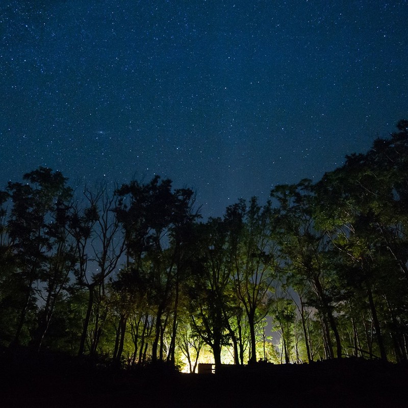 星空の下で開催されるdining out niseko