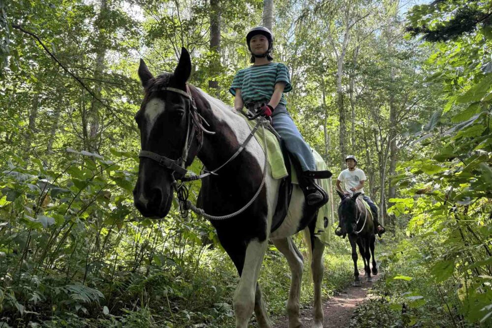 16×9 Forest Trail Horseback Riding