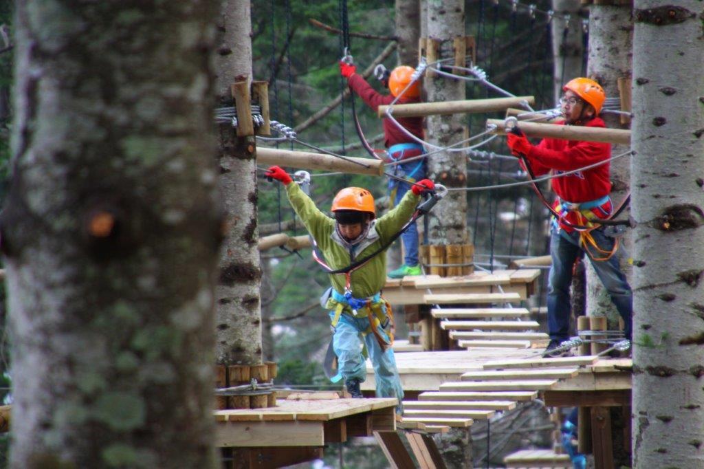 high ropes tree trekking course niseko summer activity