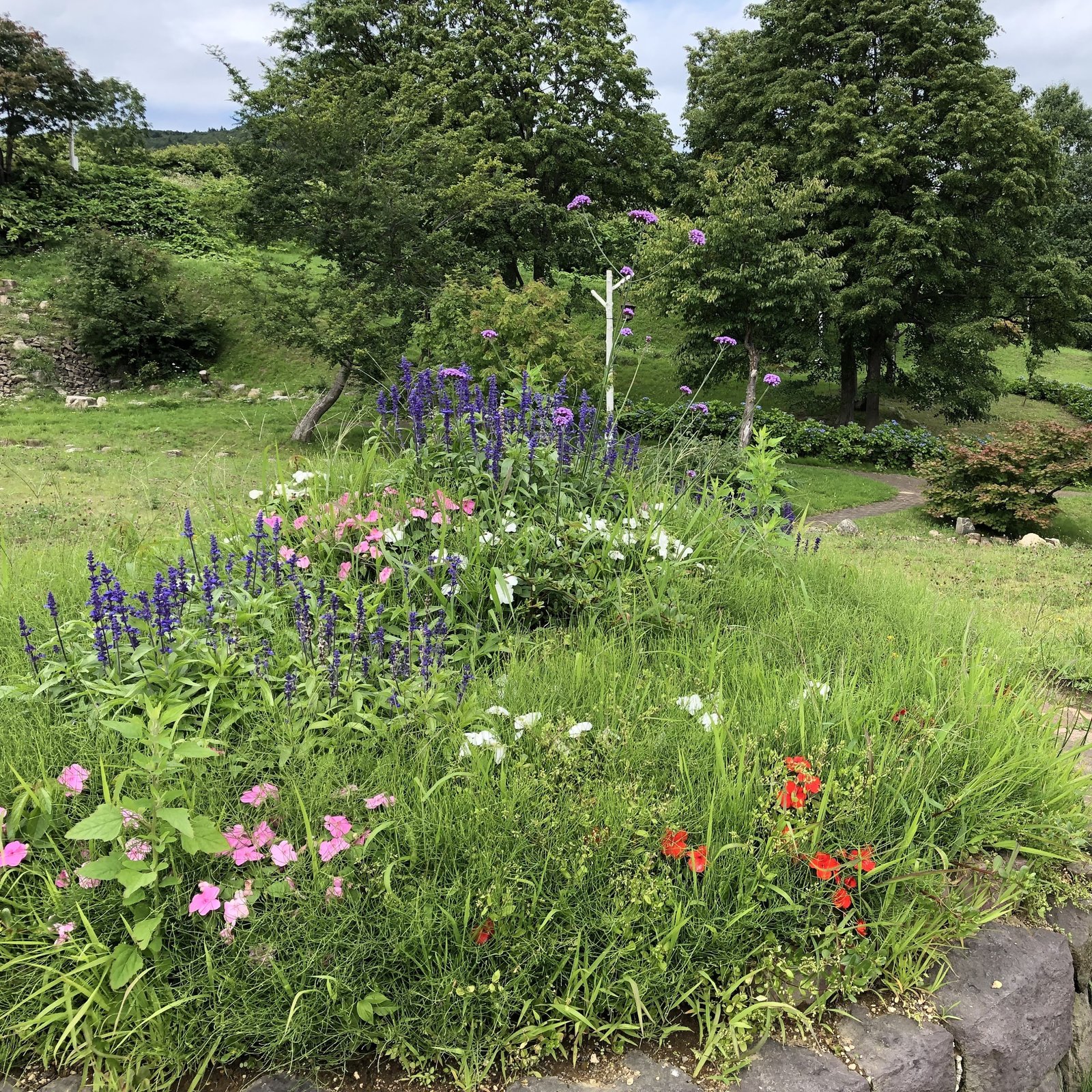 hirafu park koen niseko
