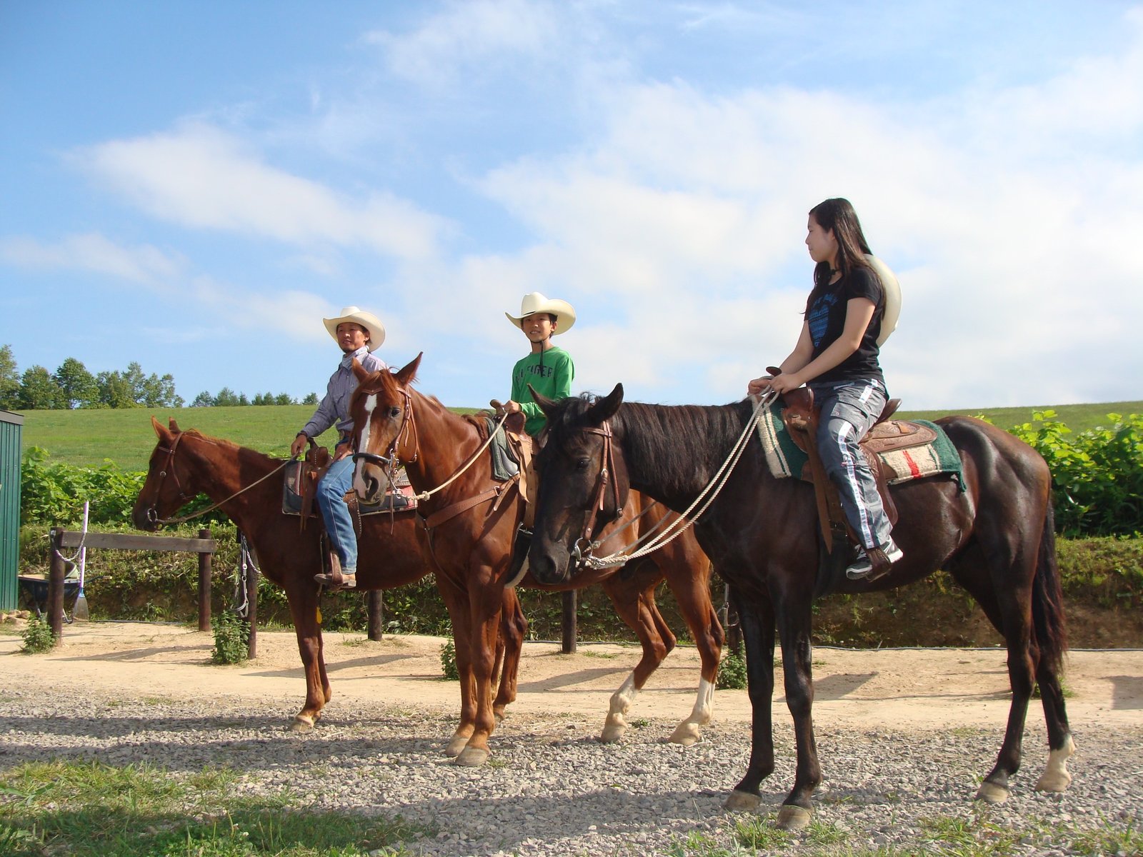 ニセコ-人気アクティビティ