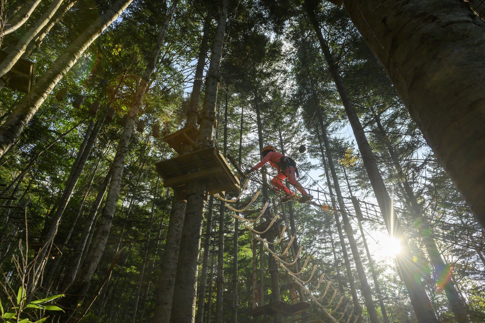ニセコ-人気アクティビティ