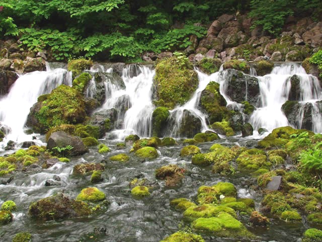 ニセコのロングステイが人気の理由①避暑