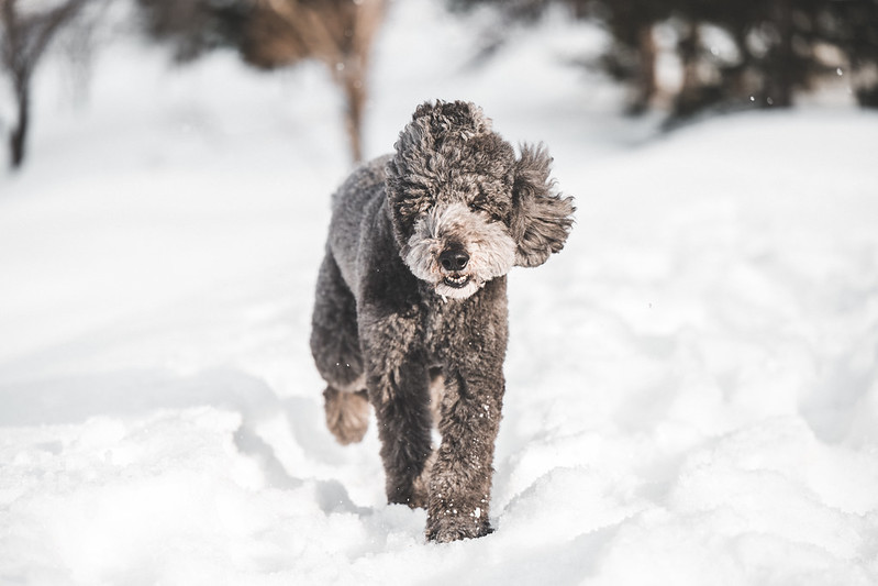 52095082109 34cc09c51e C