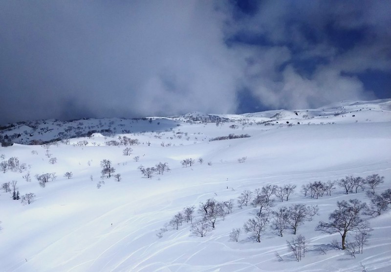 Asahidake alpine landscape