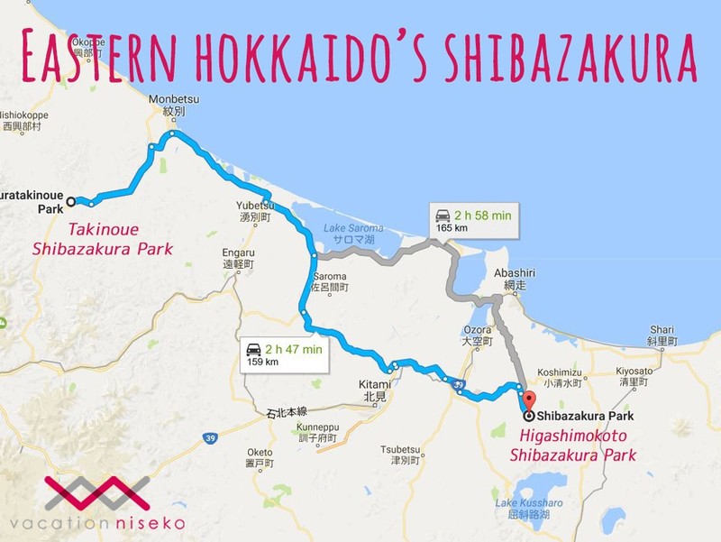 Eastern Hokkaido shibazakura