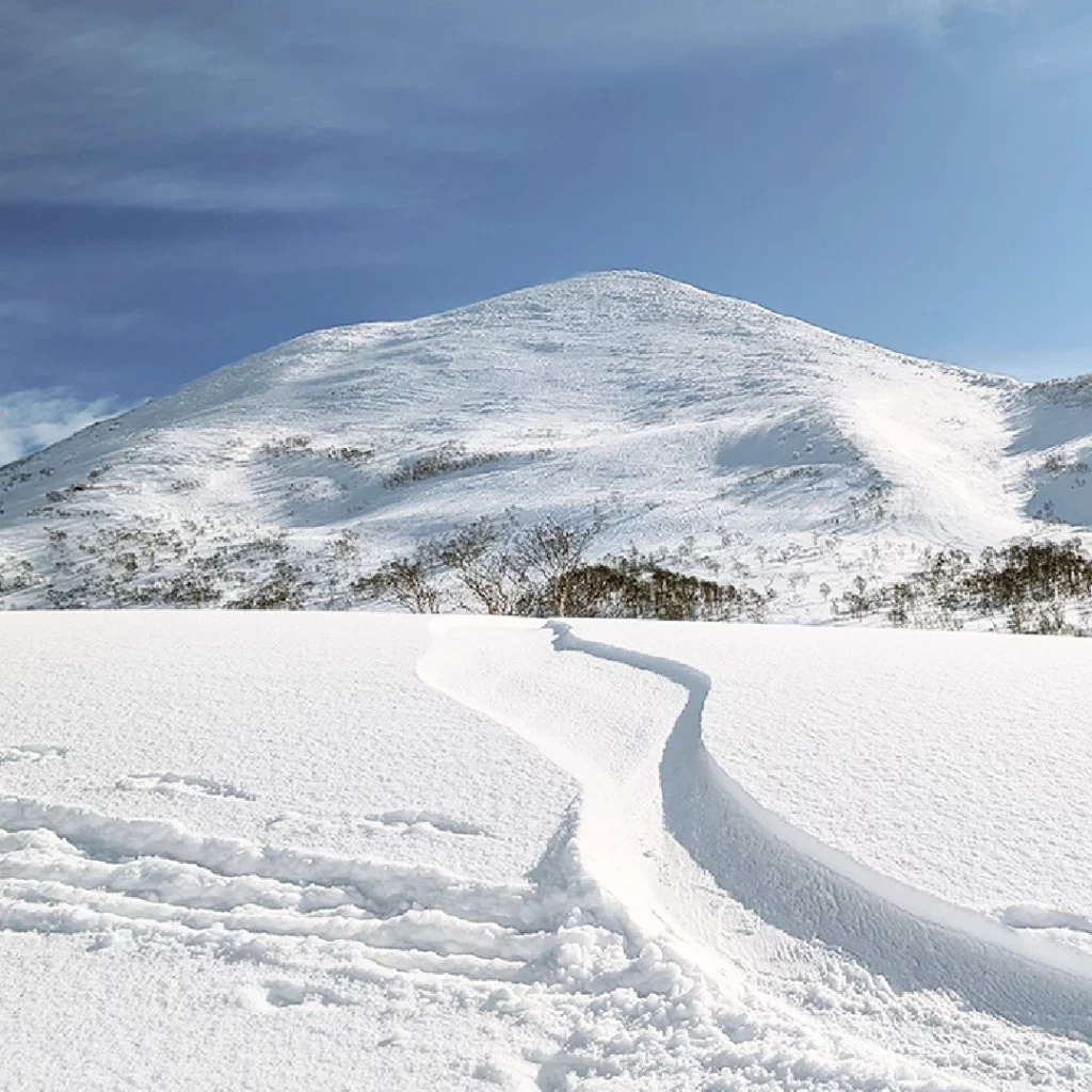 Experience Powder Snow 04 Experience Powder Snow 04