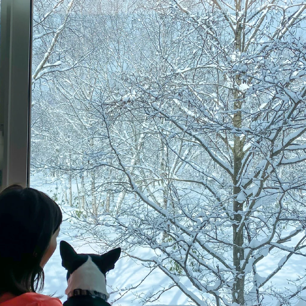 Experience Powder Snow 13 Experience Powder Snow 13