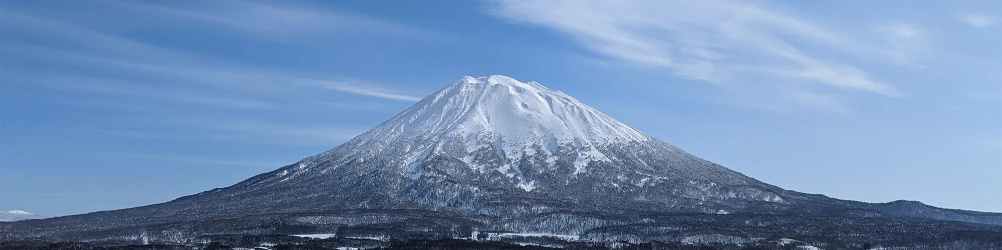 Yotei 2000x500 Specials Header