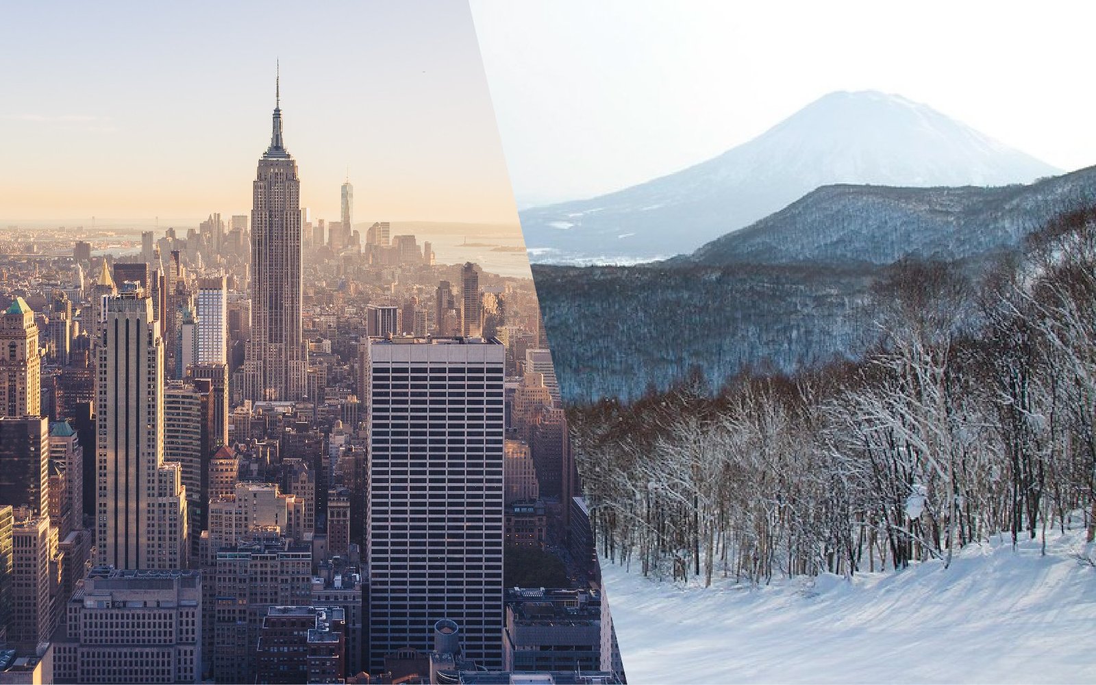 the best way to get to niseko from new york