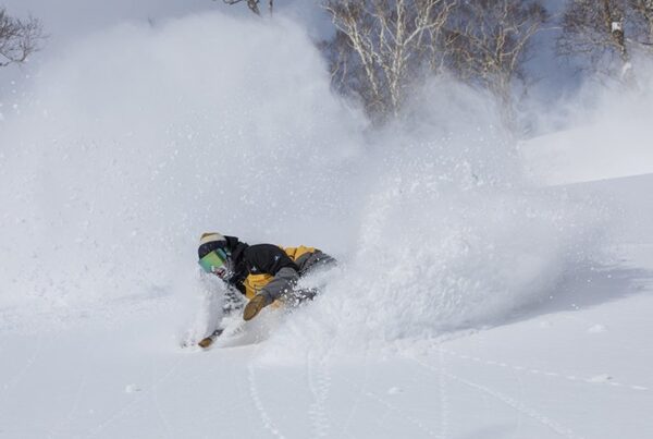 The best backcountry guiding in Niseko