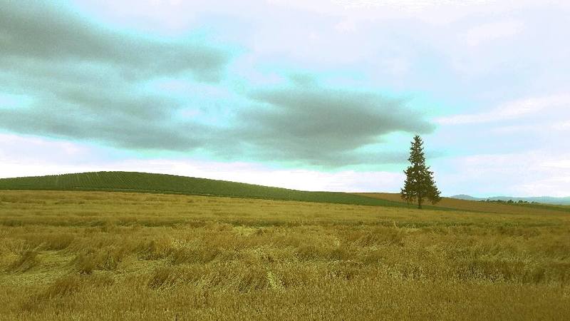 Christmas tree in Biei