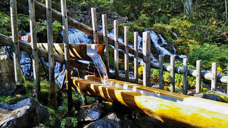 京極ふきだし公園の湧き水