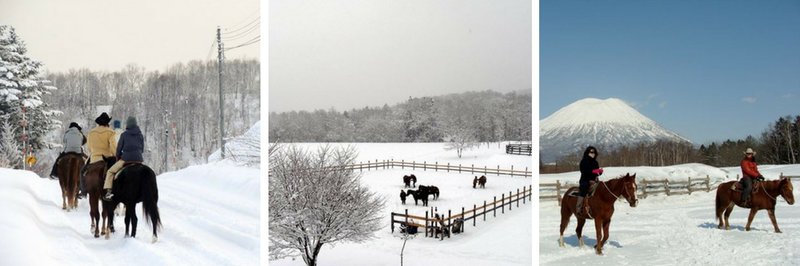 horseback riding in niseko