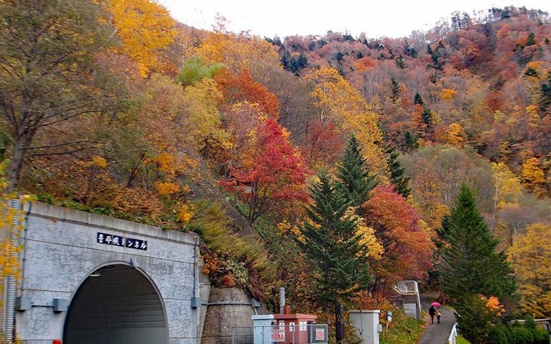 The mountain surrounding Hoheikyo Dam is dressed up in yellow and red during Autumn.&nbsp;