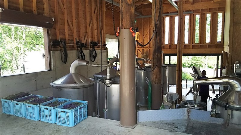 Lavender essential oil production plant at Tomita Farm.