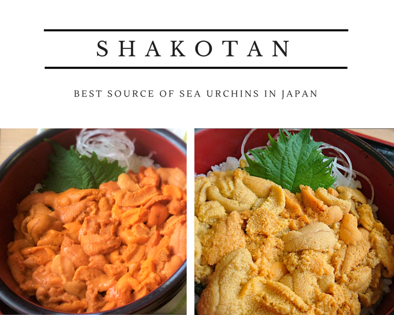 shakotan uni seah urchin sushi japan
