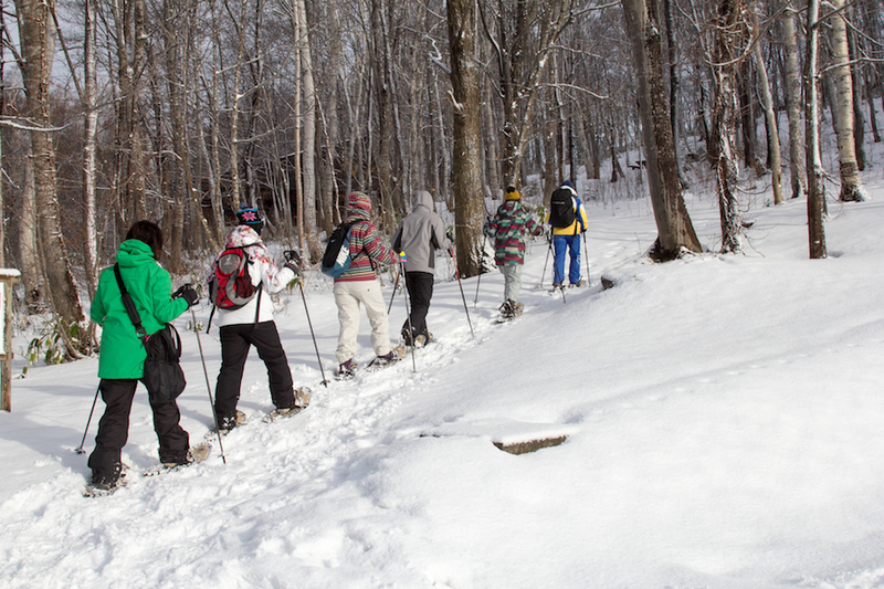 showshoeing in niseko
