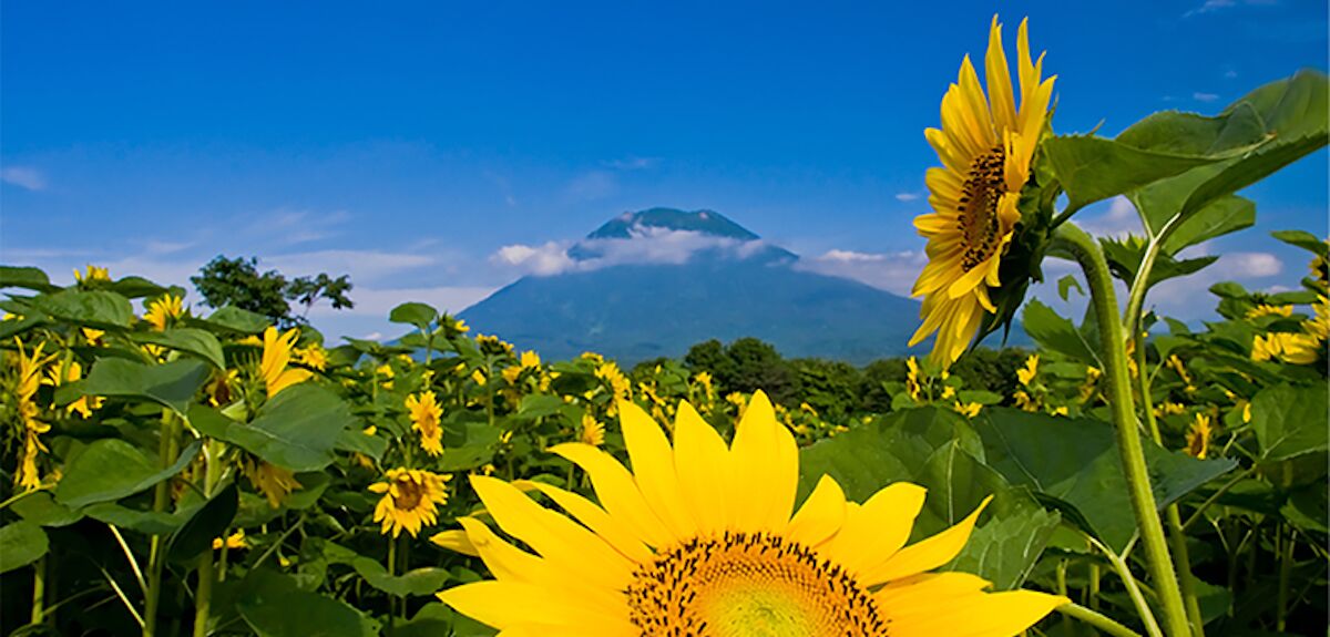 Content Outdoor Summer