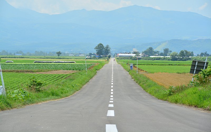 cycling niseko road bike summer