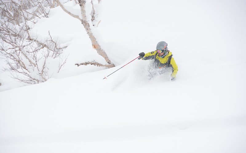 hanazono powder guides best niseko