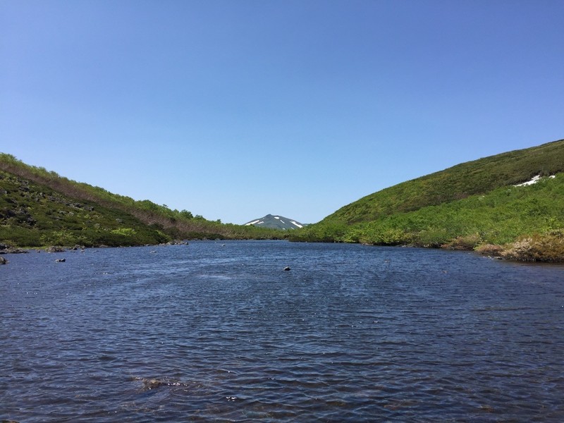 夏のシャクナゲ沼