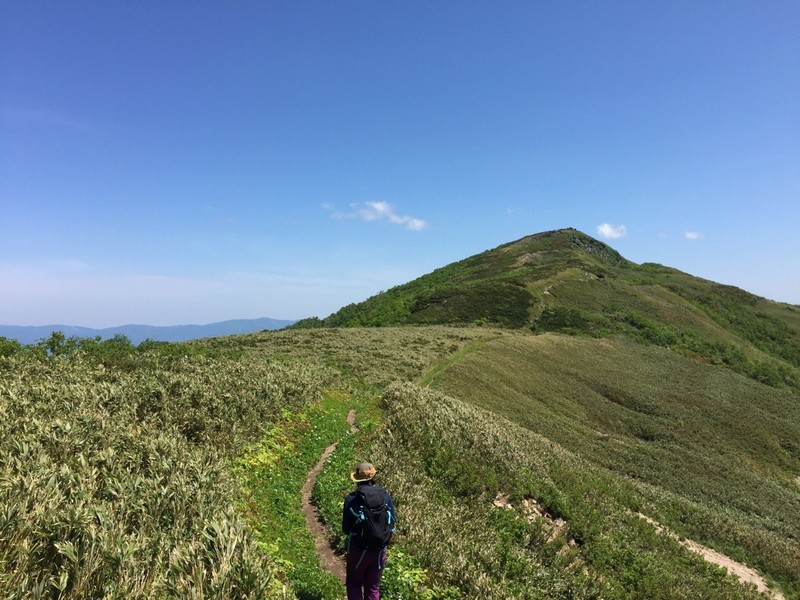 白樺山からシャクナゲ岳への道