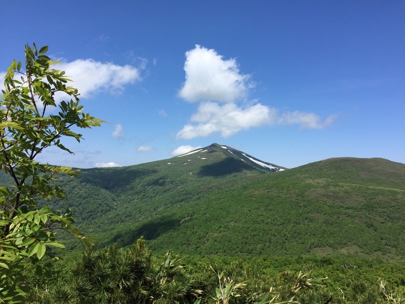 ニセコ周辺の夏山