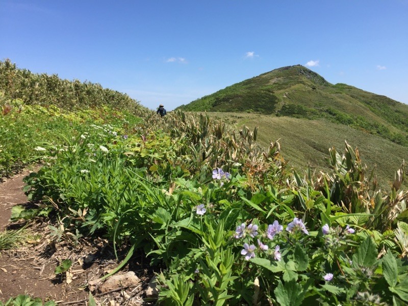 白樺山の尾根歩き