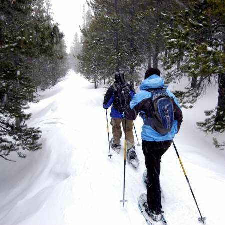 Snowshoe Tours
