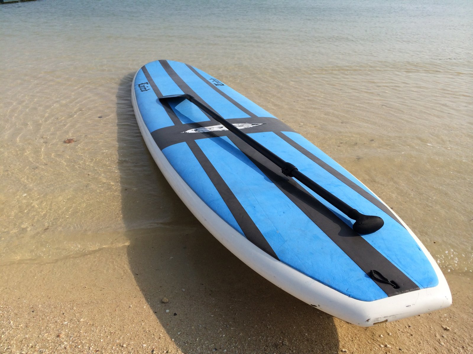 ニセコ-人気アクティビティ