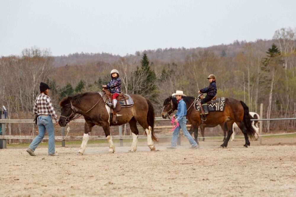Horseback Riding Experience at Niseko Country Farm
