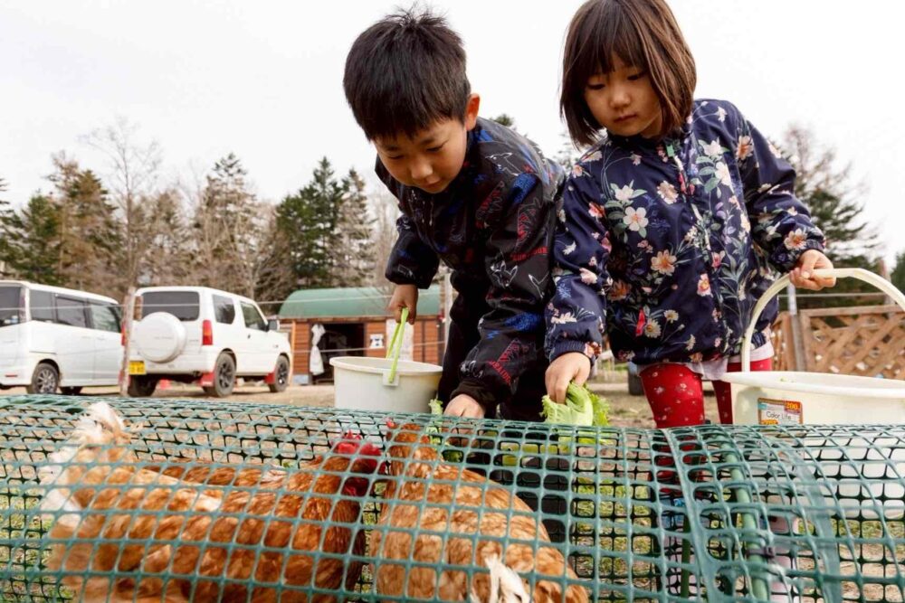 kids at niseko country farm