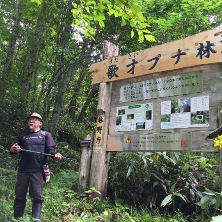 歌才ブナ林トレッキングツアー