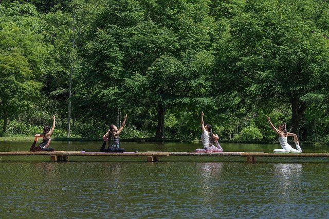 niseko yoga in nature
